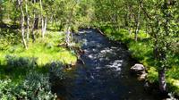 107 Femundsmarka