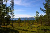 117 Femundsmarka