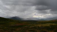 139 Dovrefjell