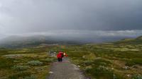 140 Dovrefjell