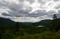 014 Im Østerdal am Fluss Glomma