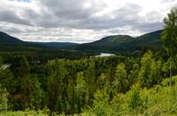 016 Im Østerdal am Fluss Glomma