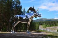 018 Im Østerdal am Fluss Glomma, bei Bjøråa