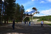 019 Im Østerdal am Fluss Glomma, bei Bjøråa