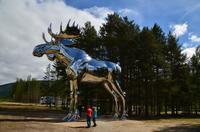 021 Im Østerdal am Fluss Glomma, bei Bjøråa