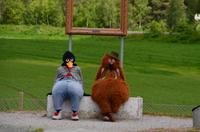 031 Alvdal, Figuren des Künstlers Kjell Aukrusts