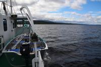 064 Femundsmarka Nationalpark, Fahrt mit dem Schiff Femund II