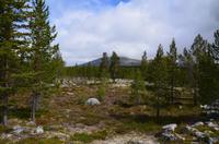 079 Femundsmarka Nationalpark