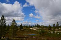 080 Femundsmarka Nationalpark