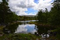 084 Femundsmarka Nationalpark