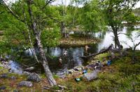 085 Femundsmarka Nationalpark, kühle Badefreuden