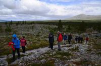 087 Femundsmarka Nationalpark