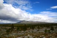 088 Femundsmarka Nationalpark