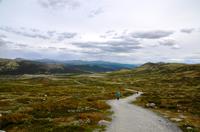116 Dovrefjell, Wanderung zum Snohetta Aussichtspunkt
