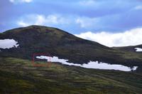 124 Dovrefjell, Blick vom Snohetta Aussichtspunkt, Moschusochsen
