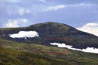 126 Dovrefjell, Blick vom Snohetta Aussichtspunkt, Moschusochsen