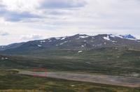 133 Dovrefjell, Blick vom Snohetta Aussichtspunkt, Moschusochsen