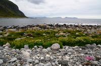 206 Insel Godoya, Weststrand mit Blick zur Insel Runde