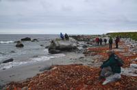 212 Insel Godoya, Weststrand