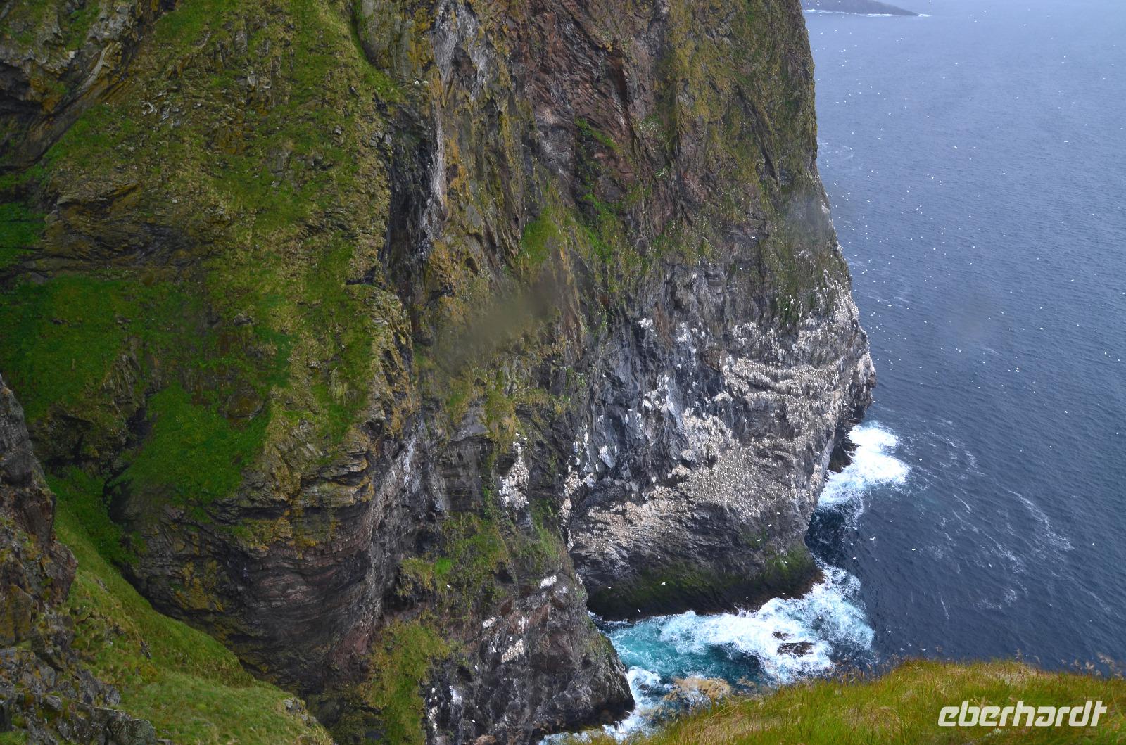 250 Insel Runde,  Vogelfelsen