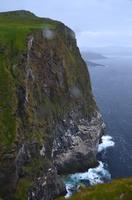 251 Insel Runde,  Vogelfelsen