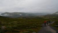148 Dovrefjell