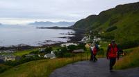 225 Insel Runde, Wanderung zum Vogelfelsen