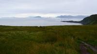 226 Insel Runde, Wanderung zum Vogelfelsen
