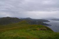 246 Insel Runde