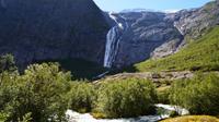 291 Briksdalsbreen, Rückweg