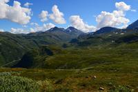 323 Sognefjell
