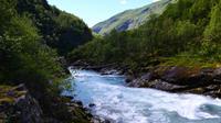 335 Utladalen, oberhalb Vetti