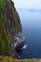 229 Insel Runde, Vogelfelsen