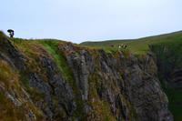 230 Insel Runde, Aussichten am Vogelfelsen