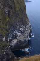 232 Insel Runde, Vogelfelsen mit brütenden Basstölpeln