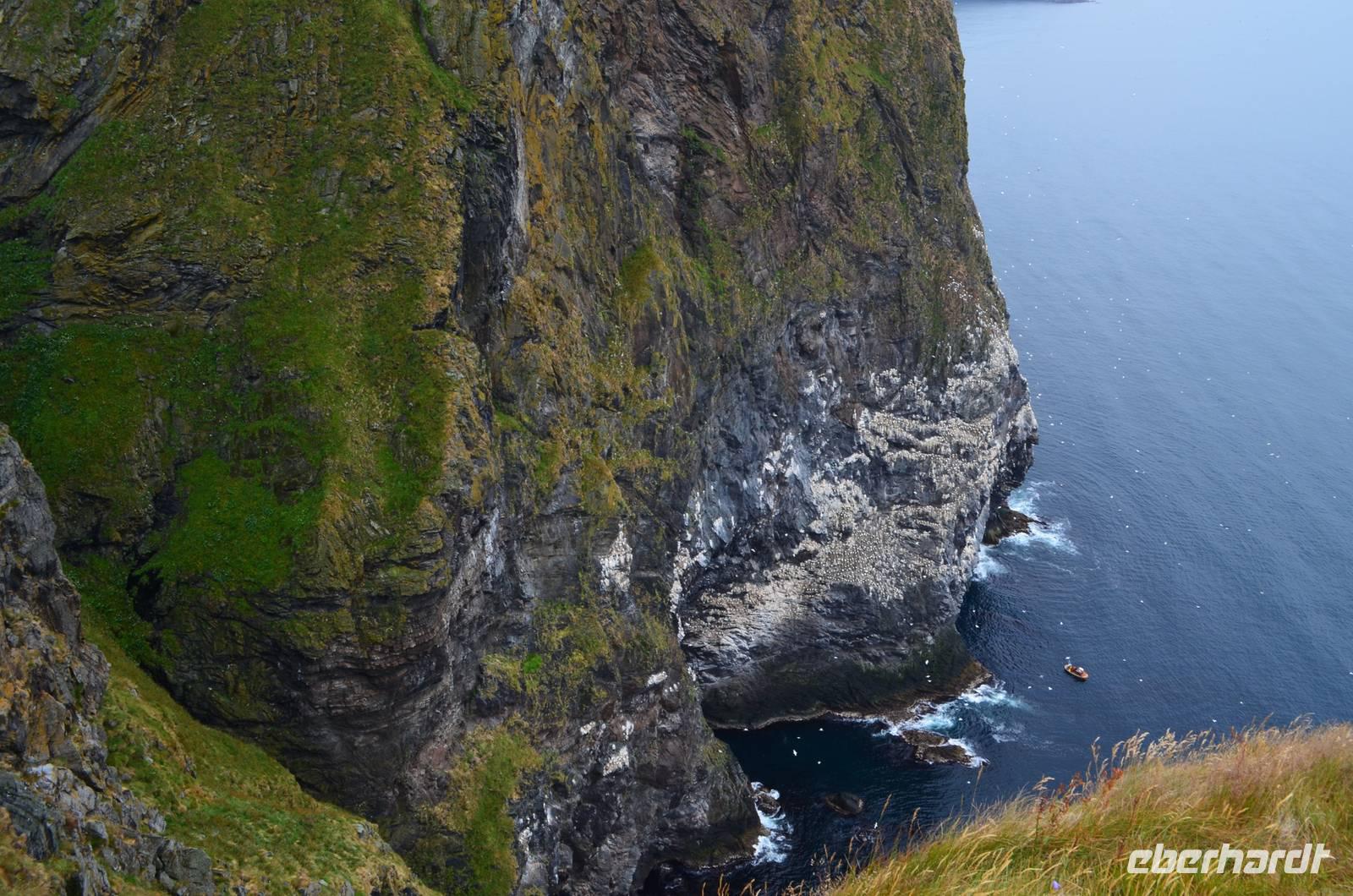 233 Insel Runde, Vogelfelsen mit brütenden Basstölpeln