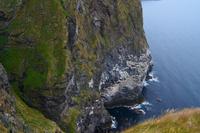 233 Insel Runde, Vogelfelsen mit brütenden Basstölpeln