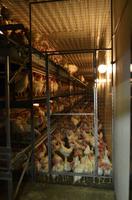 133 Bauernhof Galavoklen Gard