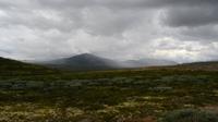 138 Dovrefjell