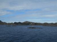 Fahrt mit dem Hurtigruten-Schiff 