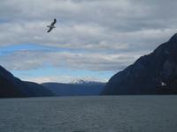 Mini-Kreuzfahrt auf dem Nærøy- und Aurlandsfjord