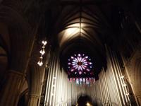Trondheim (Nidaros-Dom)