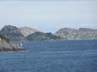 Fahrt mit dem Hurtigruten-Schiff 