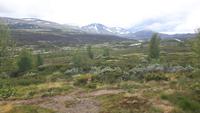 Dovrefjell