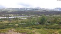 Dovrefjell