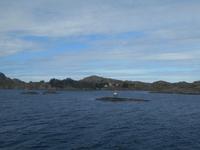 Fahrtimpressionen mit der Hurtigrute von Molde nach Bergen...