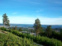 Blick vom Holmenkollen nach Oslo