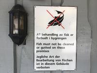 Schild