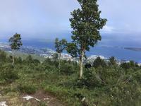Stadtberg Varden mit Blick auf Molde