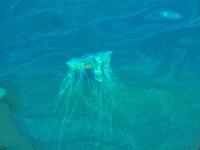 Kristiansund - Qualle